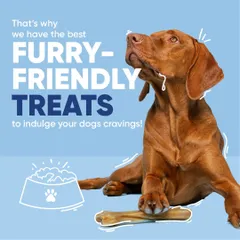 The perfect reward without the risk. I offer a range of furry-friendly treats and chews that will satisfy your dog's cravings and keep them safely away from harmful human foods.