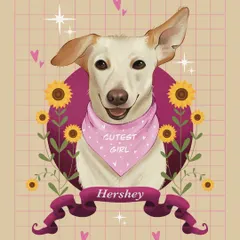 Meet the adorable Hershey. For this digital illustration, I focused on her happy expression, using a warm color palette with sunflowers and a custom banner to match her sunny personality. This style is perfect for a cheerful, modern pet tribute.