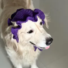 A top-down view of the crochet pet hat, complete with a little tongue-out blep. These are lightweight and have tie-straps to keep them secure.