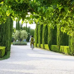 A wide, bright gravel driveway lined with tall, slender cypress trees and neat boxwood hedges. This classic European design creates a grand and elegant approach to the property.