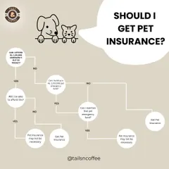 Wondering if pet insurance is right for you? I created this simple flowchart to help you decide. It breaks down the financial considerations, helping you make an informed choice for your family and your pet.