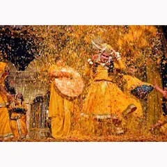 The explosive joy of Holi celebrations captured in a shower of golden petals. This photograph is about the energy and chaos of the moment, a vibrant cultural scene frozen in time. It is a testament to the power of color in documentary storytelling.