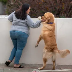 A playful moment on the rooftop between Shweta and her energetic dog, Asher. It shows that you don't need a perfect pose to capture a perfect bond.