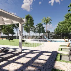 A render of our vision for the camp, with a shaded pergola, agility equipment, and our signature dog-friendly pool.