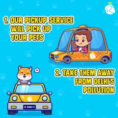 Our process is simple and designed for your peace of mind. First, our specialized pet transport service will pick up your pets from your doorstep. Then, we take them for a comfortable and safe ride, away from the city's noise and pollution.