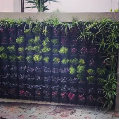 Another angle of a modular green wall, showing how the individual planters fit together. This system allows for easy maintenance and replacement of plants if needed.