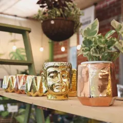 Add a touch of zen and glamour with our metallic Buddha head planters. These shiny pots are perfect for making a statement on a shelf or table.