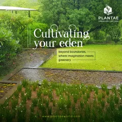 We believe every garden should feel like a personal Eden. For this project, we cultivated a lush landscape with soft grass, natural stone pathways, and carefully planted flower beds to create a tranquil retreat. Our designs focus on blending your vision with nature's patterns to build a space that feels both grand and intimate.