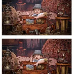 A two-photo collage from the vintage barn shoot. The set includes classic props like an old-fashioned telephone and birdcages, adding authentic detail to the scene.