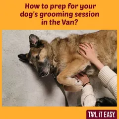 Wondering how to prepare for your dog's grooming session in our van? We've put together some useful tips to make the experience smooth for everyone.