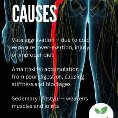 We identify the root causes of sciatica, including Vata aggravation from diet or injury, toxin accumulation (Ama), and a sedentary lifestyle. Our personalized treatment plans are designed to correct these specific imbalances for lasting relief.