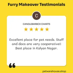 We're so happy to be considered the best place in Kalyan Nagar for pet needs. It's our goal to always have cooperative staff and doctors to support you and your furry friend.