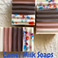 I love playing with layers and colors. These camel milk soaps have a warm Sandalwood fragrance and feature both solid layers and fun confetti sections, making each bar a unique piece of art.