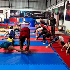 A typical flexibility session in our adult gymnastics class. Students work on a variety of stretches, including forward folds and straddle splits, with coaches providing guidance.