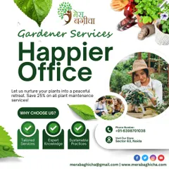 A green office is a happier office. My tailored plant maintenance services use expert knowledge and sustainable practices to turn your corporate garden or indoor space into a peaceful, green retreat.