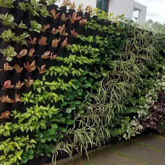 A side view of the modular vertical garden, showing how it can be used to green up narrow spaces and corners around a home.