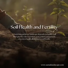 We believe that healthy soil is the starting point for any successful landscape. We focus on building fertile, well-structured soil that supports a diverse ecosystem of organisms, ensuring robust plant growth, water retention, and overall resilience.