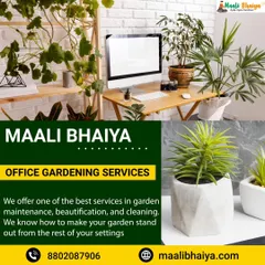 Our office gardening services are perfect for creating a refreshing work atmosphere. We provide a variety of plants, including desk plants and larger floor plants, to beautify your office and improve air quality.