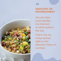 Here is the anatomy of nourishment. We choose ingredients like quinoa because it's light on the stomach but heavy on nutrition, sustaining you throughout the day.