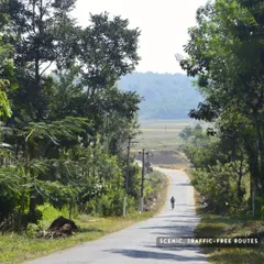 Another shot of the quiet country roads on our Coorg tour, perfect for peaceful and immersive cycling.