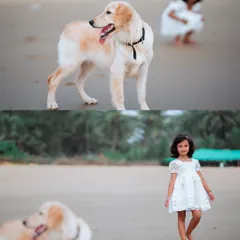 A perfect example of how I include pets in family portraits. The family dog stands proudly while the little girl plays in the background, showing that every member of the family is part of the story.