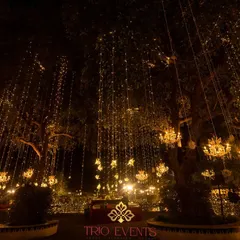 To create a fairytale atmosphere, I draped the trees at Jagmandir with cascading fairy lights and crystal chandeliers. This lighting design transforms the outdoor space into an enchanted forest, perfect for a romantic evening celebration.