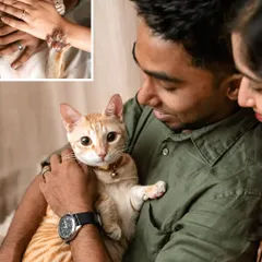 A collage featuring a loving portrait of a couple holding their orange cat, Toffee, and a creative close-up of his paw on their hands.