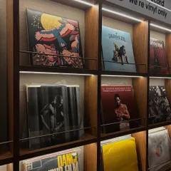 A closer look at some of the records in my collection. For the record, we're vinyl only here.