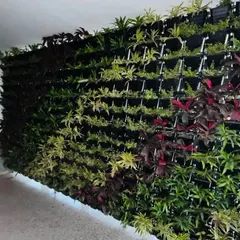 This large-scale living wall at KR Mangalam University is one of our proudest installations. Spanning three floors, this natural vertical garden acts as a natural air purifier and a stunning visual centerpiece for the campus.