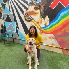This is blissful Binngo, a joyful Lab who is a delight to train. We worked on channeling his energy positively, and he learned to be calm and gentle, especially around the children in his home.
