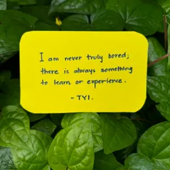 "I am never truly bored; there is always something to learn or experience." When curiosity leads, every moment becomes an opportunity for growth and discovery.