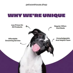 What makes us unique? We focus on providing affordable grooming, low prices on products, regular offers, and a knowledgeable team that is always ready to help you.