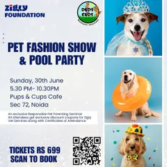 In partnership with Pups & Cups Cafe, the Zigly Foundation is hosting a Pet Fashion Show and Pool Party, which includes a valuable seminar on responsible pet parenting.