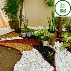 I love creating visual interest with different textures and colors. This ground-level garden design uses paths of white, black, and yellow pebbles to define spaces and complement the variety of indoor and outdoor plants.