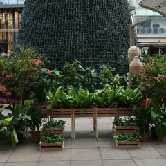 Another view of our display at The Plant Festival. We create lush, inviting spaces even for temporary exhibitions, giving visitors a taste of how we can transform any area with thoughtful plantscaping.