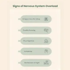 These are common signs of nervous system overload that many people ignore. Fatigue, poor digestion, and irritability are your body's way of asking for help.