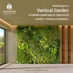 This is how we bring walls to life. An indoor vertical garden, or bio-wall, not only serves as a stunning green art piece but also naturally purifies the air. We design and install these living walls to fit seamlessly into modern homes and offices, creating a healthier and more vibrant environment.