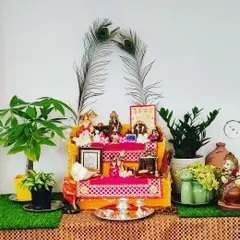A customer shared this photo of their beautiful home temple (mandir) decorated with my plants, including a Pachira Money Tree and a ZZ plant.