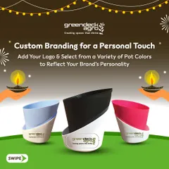 I offer custom branding for a personal touch on all corporate gifts. You can add your logo and select from a variety of pot colors to reflect your brand's unique personality.