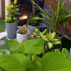 A close up view of a cozy balcony garden we designed. We combine artificial grass with natural stone pavers, pebbles, and a variety of potted plants to create a rich, textured, and serene personal retreat.