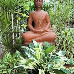 A beautiful concrete Buddha statue surrounded by lush greenery. I often use statues as a focal point in garden designs to instill a sense of peace and contemplation.