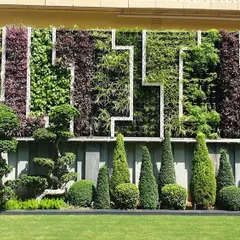 A large-scale exterior green wall featuring a complex geometric pattern. We used a diverse palette of plants with varying colors and textures to create a rich tapestry, complemented by a row of sculpted topiaries at the base for a formal touch.