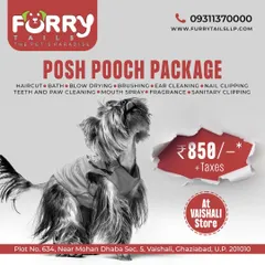 Treat your dog to our Posh Pooch Package. This comprehensive service at our Vaishali store includes a haircut, bath, blow dry, nail clipping, and more to leave your pet looking and feeling its best.