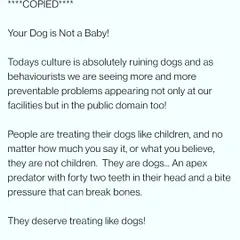 Your dog is not a baby. It is an apex predator that deserves to be treated like a dog. Humanizing them creates preventable behavioral problems.