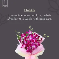 In my courses, you'll learn to design smart. This graphic highlights Orchids, a low-maintenance and luxe flower that lasts for weeks, a key piece of knowledge for any florist.