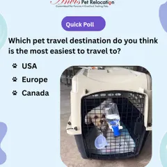 Here's a quick quiz for our fellow pet parents. Which popular travel destination do you think is the easiest to travel to with a pet: the USA, Europe, or Canada?