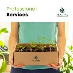 I offer professional services that cover every aspect of plant care, from providing healthy seedlings to designing and maintaining entire landscapes. My approach is to make gardening accessible and successful for everyone.