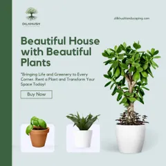 Whether you choose to buy or rent, our goal is to bring life and greenery to your space. We help you select the perfect plants to transform your home or office.