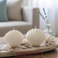 My shell-shaped scented candles, unlit, to show their beautiful sculptural quality. They are perfect for creating a coastal or beach-themed decor vibe.