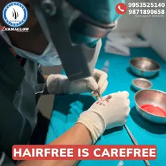 Here, individual hair grafts are being carefully prepared for transplantation. This delicate process is crucial for ensuring the viability of each follicle, which leads to higher success rates and denser hair growth.